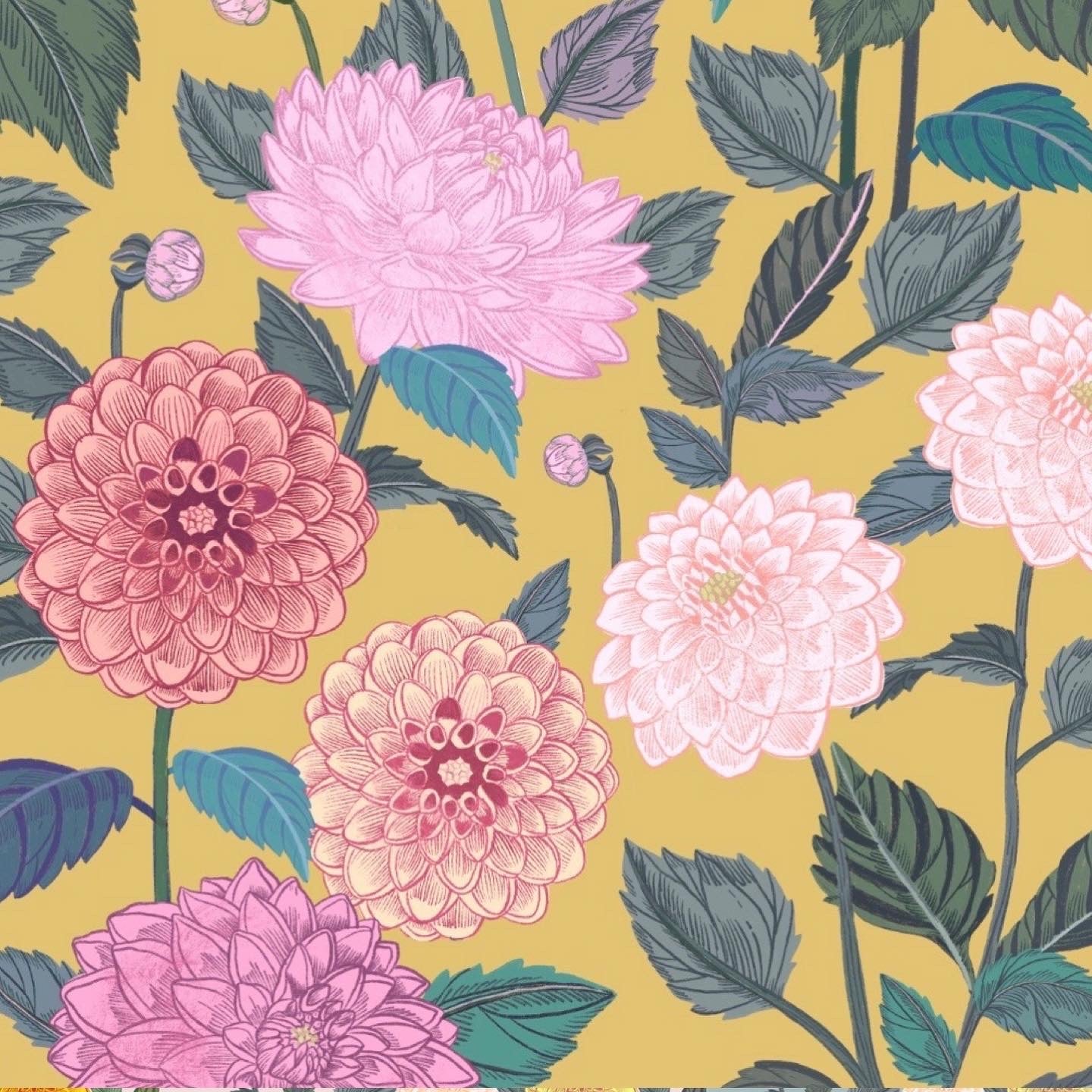 KUDDE | Dahlia
