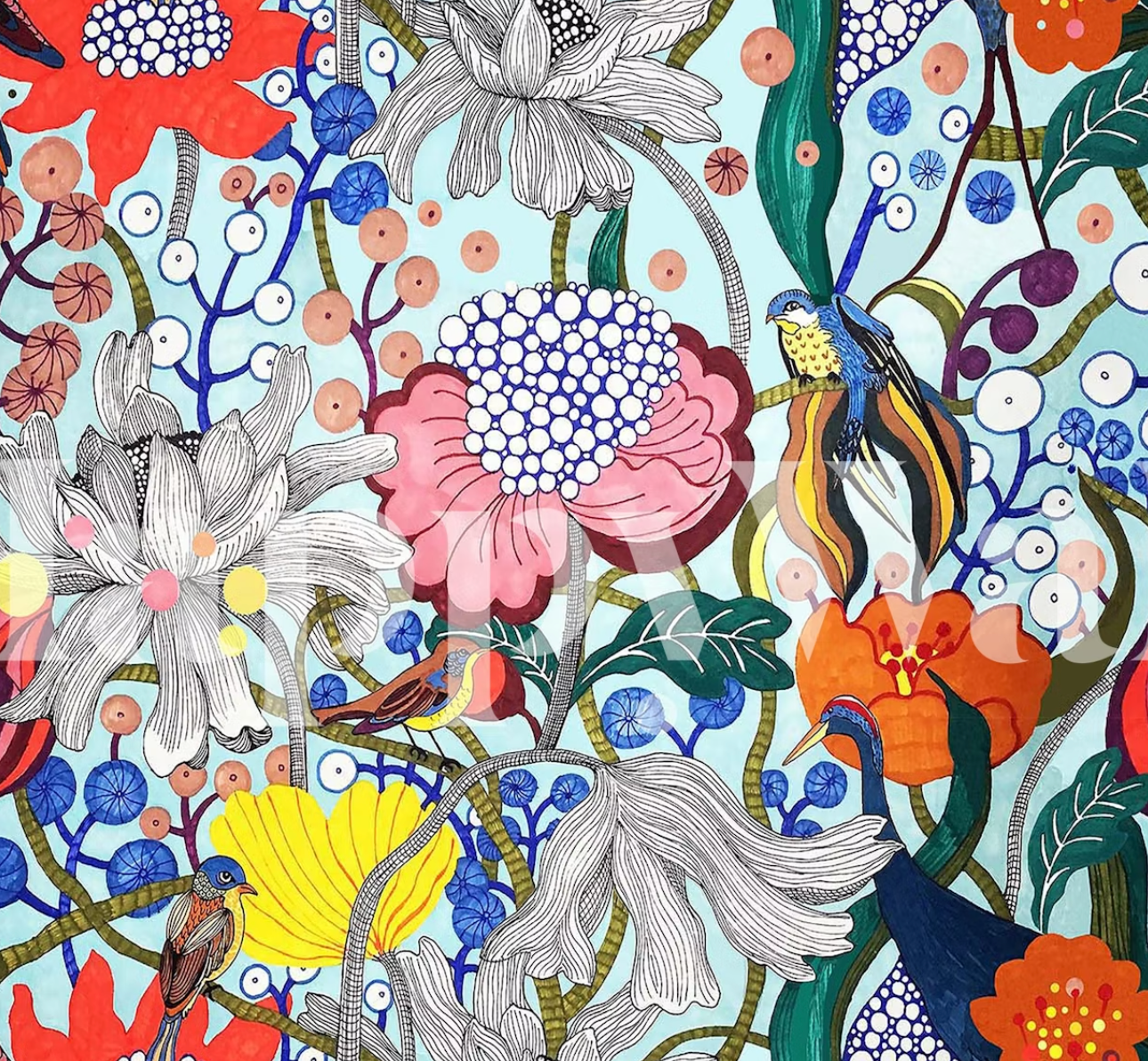 TAPET || Birds of Paradise